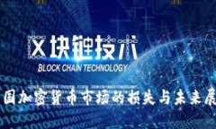美国加密货币市场的损失与未来展望