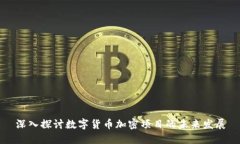 深入探讨数字货币加密项目的未来发展