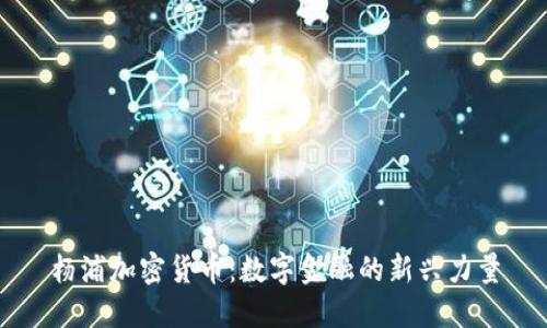 杨浦加密货币：数字金融的新兴力量