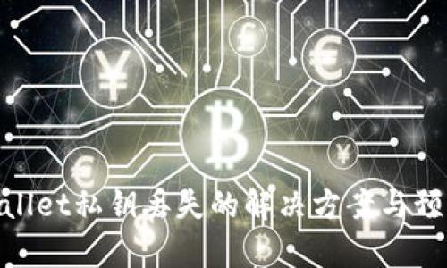 : tpWallet私钥丢失的解决方案与预防措施