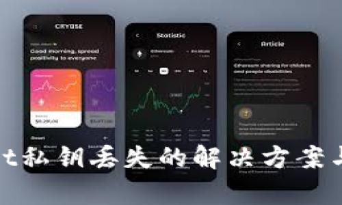 : tpWallet私钥丢失的解决方案与预防措施
