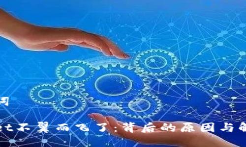 与关键词
tpWallet不翼而飞了:背后的原因与解决方案