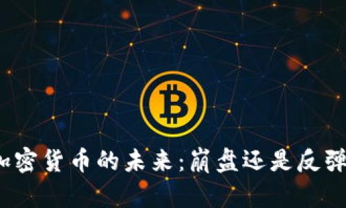 加密货币的未来:崩盘还是反弹?