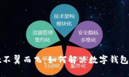tpWallet不翼而飞:如何解决数字钱包丢失问题