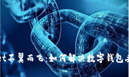 tpWallet不翼而飞:如何解决数字钱包丢失问题
