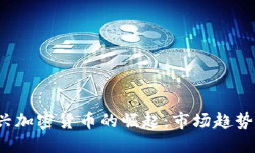 2020年新兴加密货币的崛起:市场趋势与未来展望