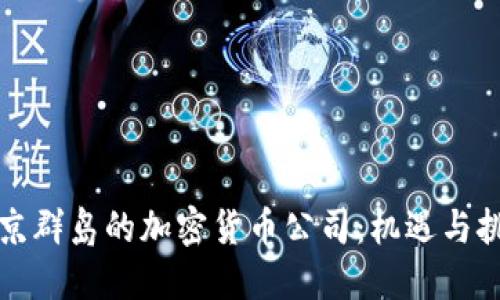 维京群岛的加密货币公司:机遇与挑战