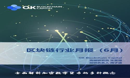 全面解析加密数字货币的多种概念