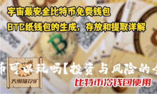 加密货币可以玩吗?投资与风险的全面分析