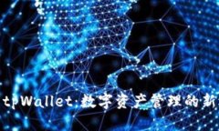 探索tpWallet:数字资产管理的新选择