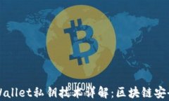 codetpWallet私钥技术详解:区块链安全的基石