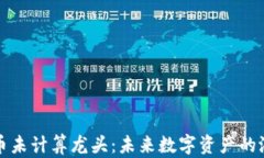 加密货币未计算龙头:未来数字资产的潜力探索