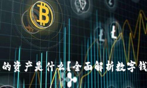 tpWallet中我的资产是什么?全面解析数字钱包的资产结构