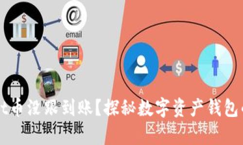 为何tpWallet币没跟到账?探秘数字资产钱包的安全与流程
