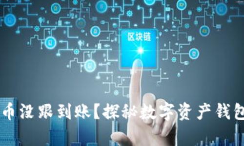 为何tpWallet币没跟到账?探秘数字资产钱包的安全与流程