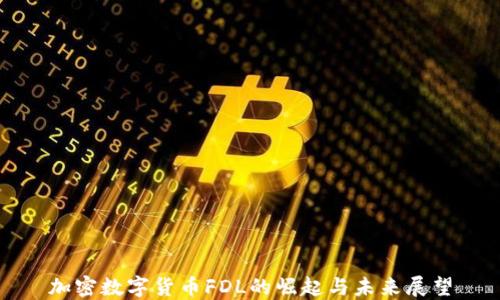 加密数字货币FDL的崛起与未来展望