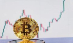 量子比特加密数字货币:未来金融的演变与挑战