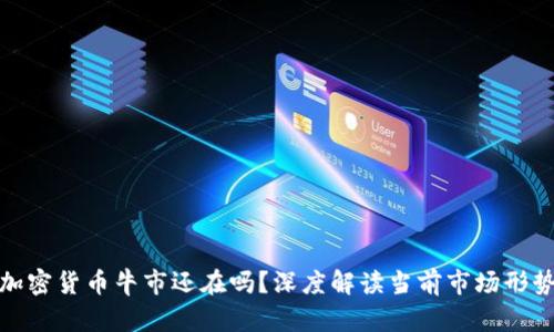 加密货币牛市还在吗？深度解读当前市场形势