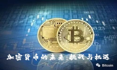 加密货币的未来：挑战与机遇