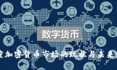 印度加密货币市场的现状与未来发展