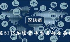 掌握BITS加密货币交易的全面指南