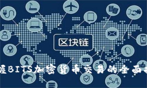 掌握BITS加密货币交易的全面指南