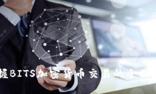掌握BITS加密货币交易的全面指南