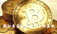 揭秘米其林加密货币的真相