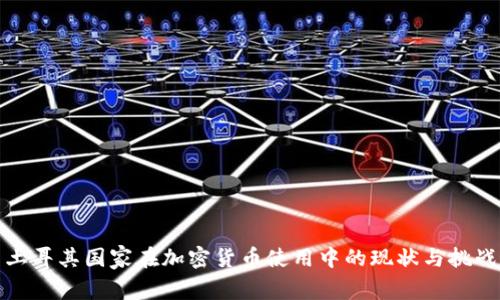 土耳其国家在加密货币使用中的现状与挑战