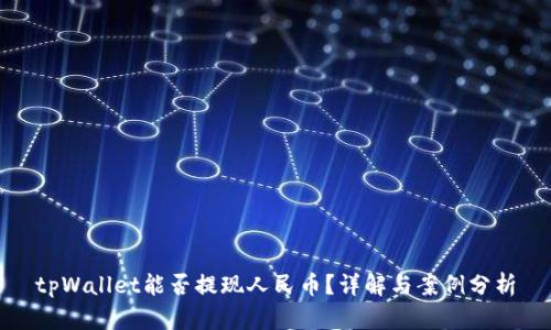 tpWallet能否提现人民币?详解与案例分析