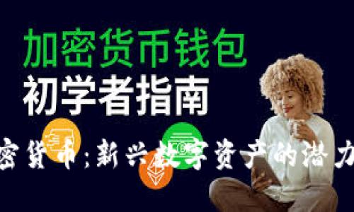 DAR加密货币:新兴数字资产的潜力与挑战