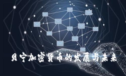 贝宁加密货币的发展与未来