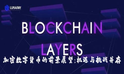 加密数字货币的前景展望:机遇与挑战并存