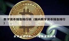 最新版本tpWallet客服查询指南