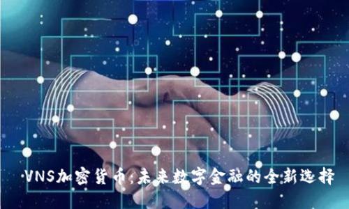 VNS加密货币:未来数字金融的全新选择