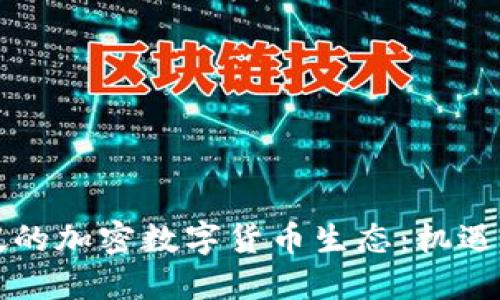 新加坡的加密数字货币生态:机遇与挑战