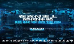 比特币现金(BCH)减半现象解析与未来展望