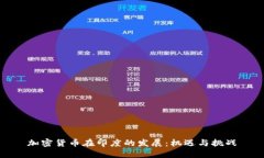 加密货币在印度的发展：机遇与挑战