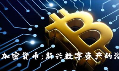 野兔Hare加密货币:新兴数字资产的潜力与挑战