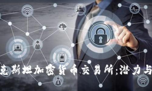 哈萨克斯坦加密货币交易所:潜力与挑战