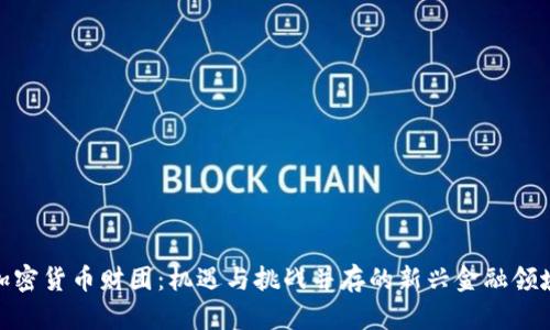 加密货币财团:机遇与挑战并存的新兴金融领域