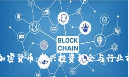 皮皮虾加密货币:新兴投资机会与行业前景分析