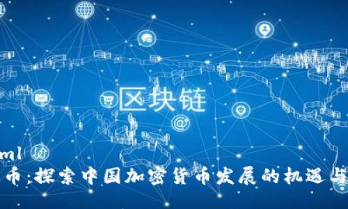 ```xml
比特币:探索中国加密货币发展的机遇与挑战