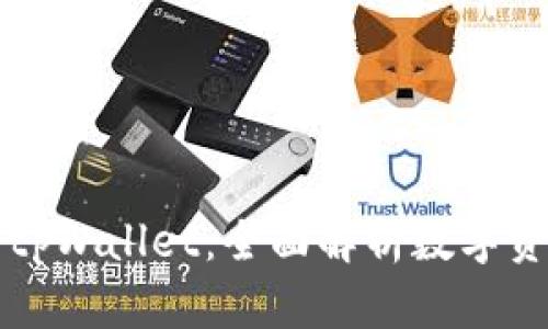 从欧易提币到tpWallet:全面解析数字资产转移的秘籍