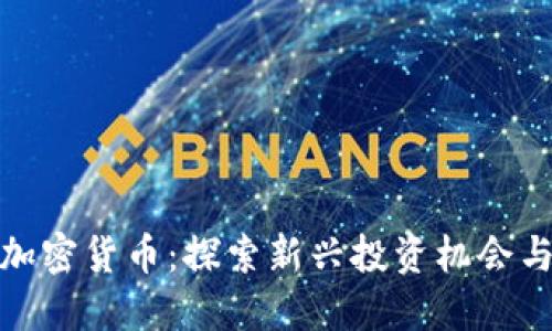 小众加密货币:探索新兴投资机会与风险