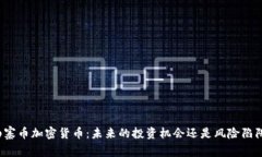 山寨币加密货币：未来的投资机会还是风险陷阱