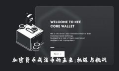加密货币成法币的未来：机遇与挑战