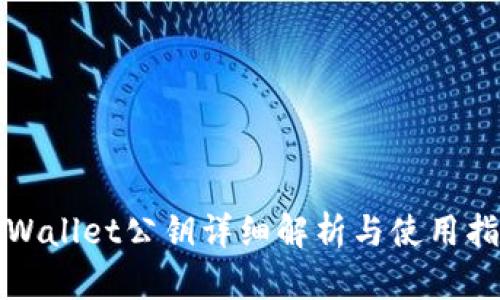 tpWallet公钥详细解析与使用指南