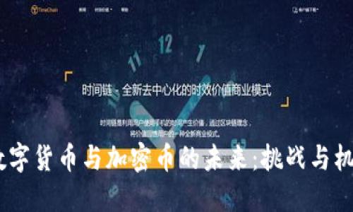 :数字货币与加密币的未来:挑战与机遇
