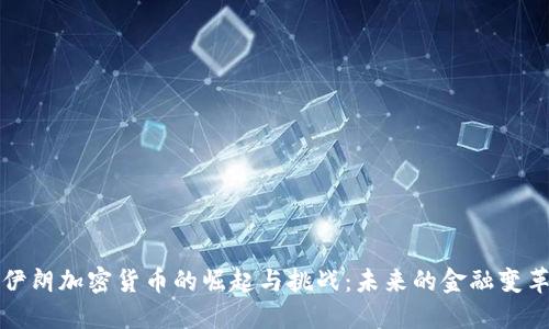 伊朗加密货币的崛起与挑战:未来的金融变革